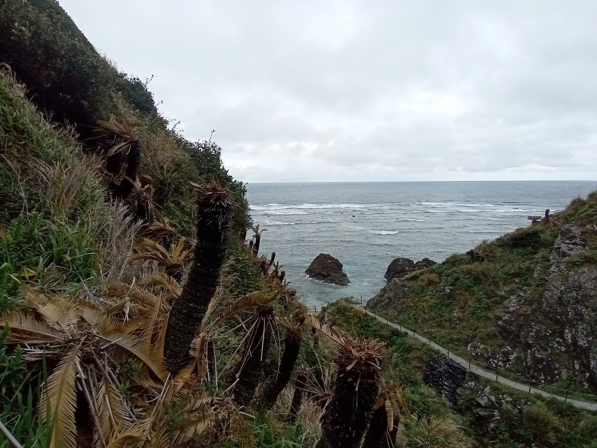 Cape Kasari, Japan