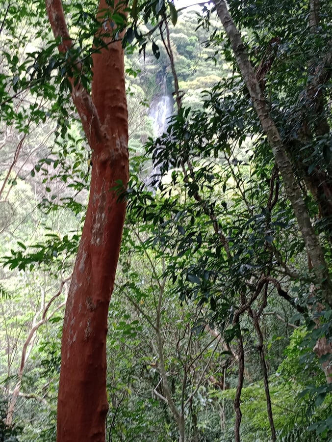 Funangyo Falls, Giappone