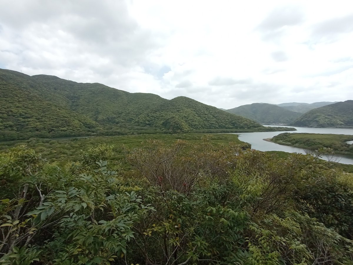 Mangrove forest observation deck, Giappone