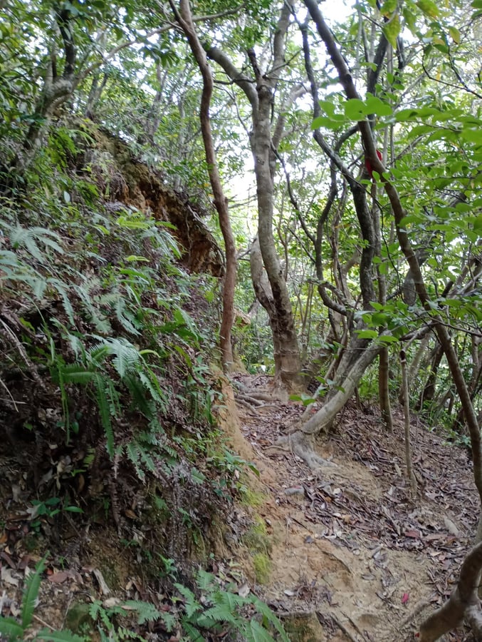 Pretty difficult in places!, Japon