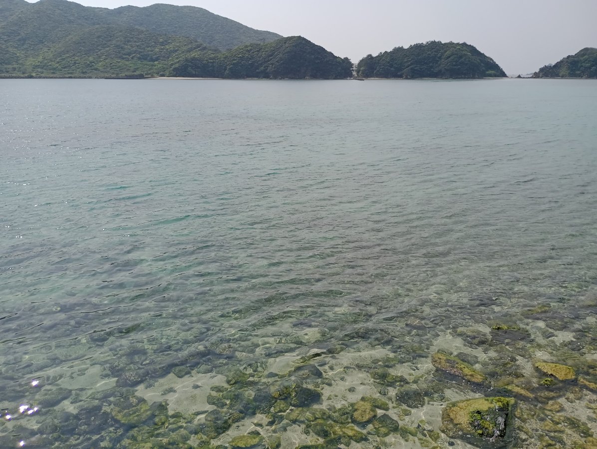 Beautiful here!, Giappone