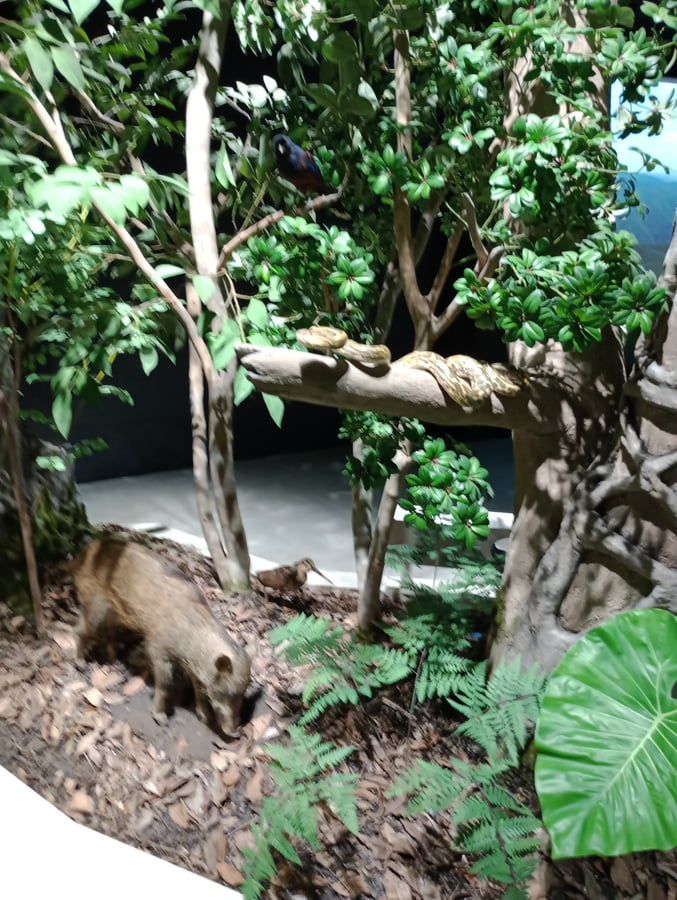 Conservation Centre, Giappone