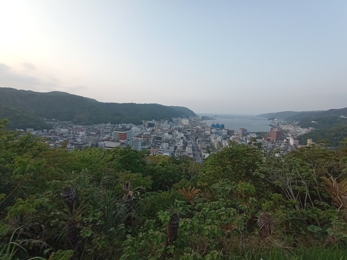 Stop to wander up to a shrine above Naze, Giappone
