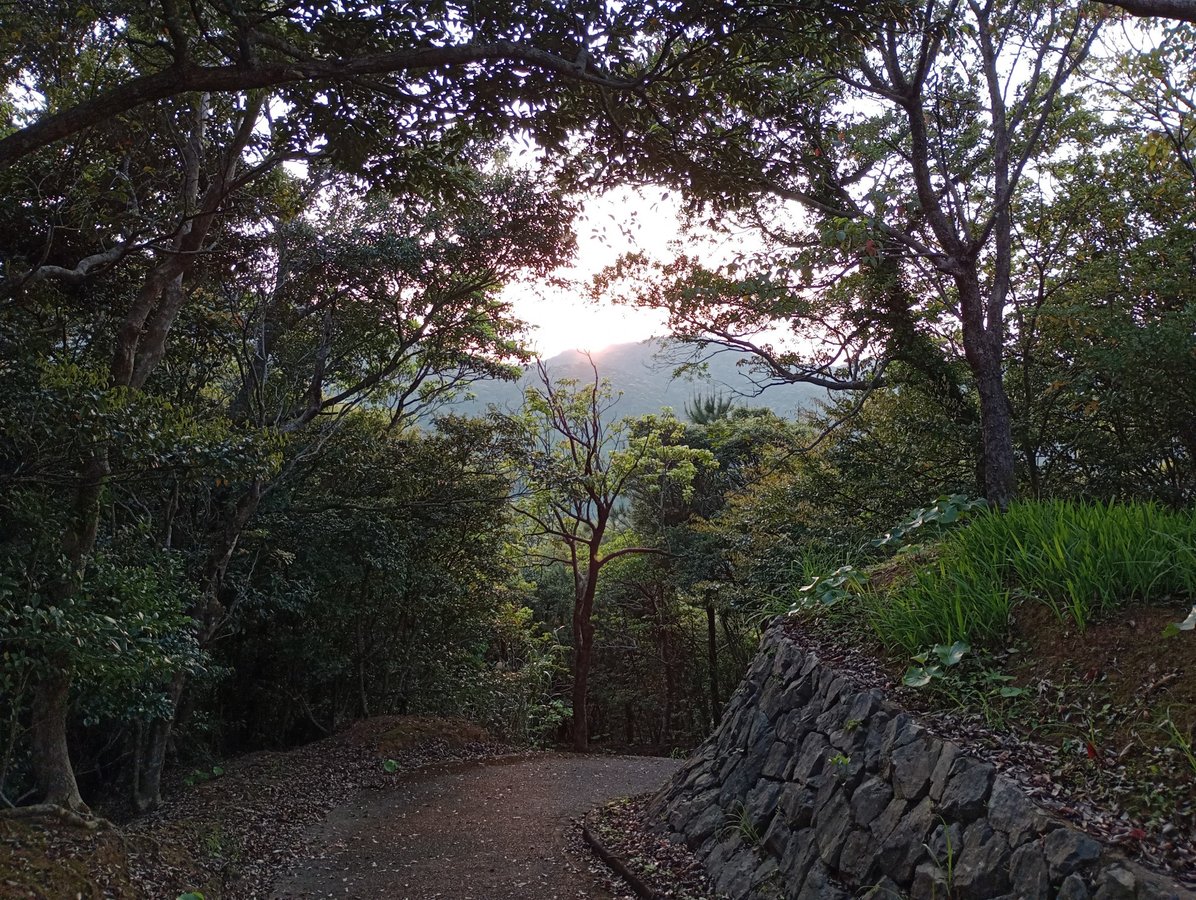 Stop to wander up to a shrine above Naze, Japan