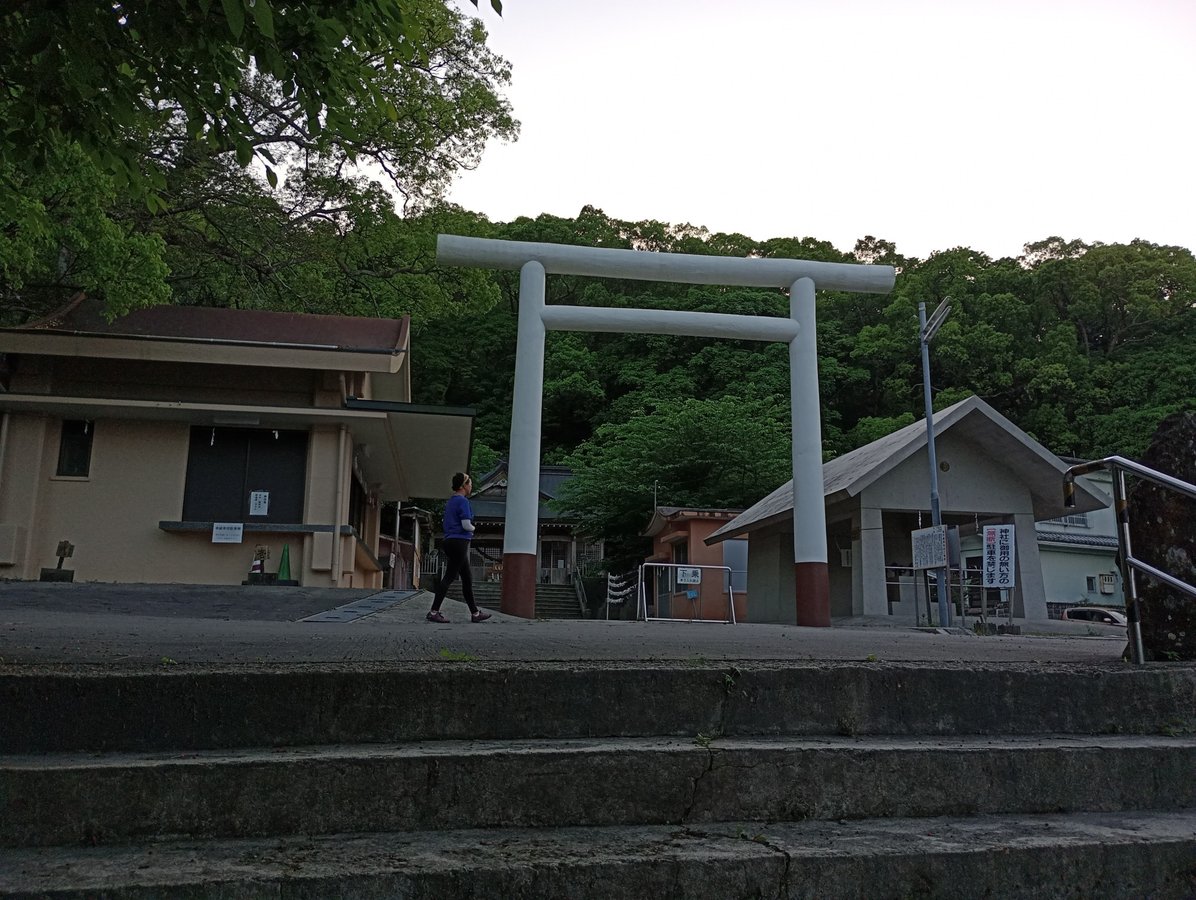 An actual shrine!, Giappone