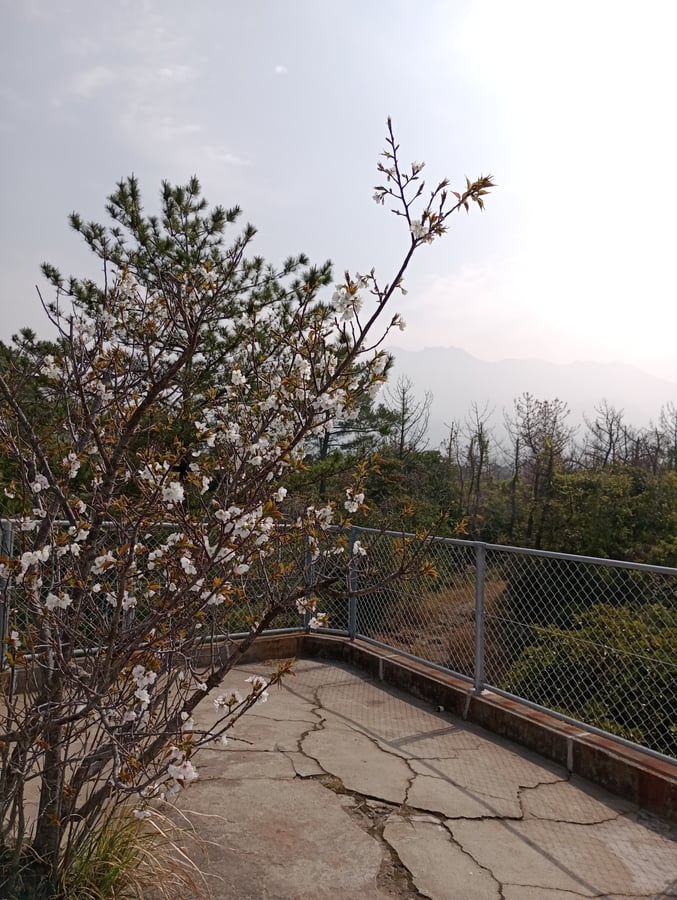 29 March 2026 - 10:10, Giappone