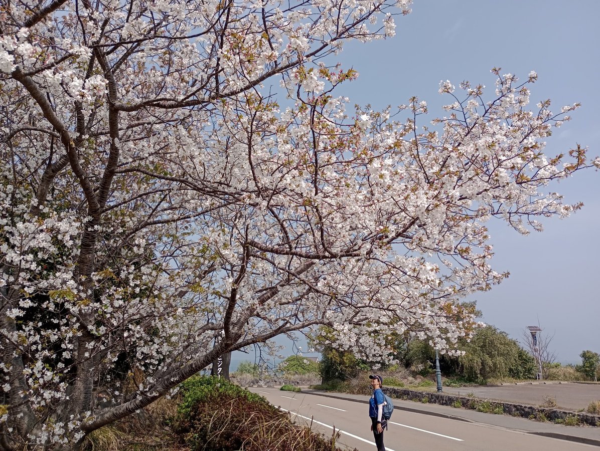 29 March 2026 - 10:25, Giappone