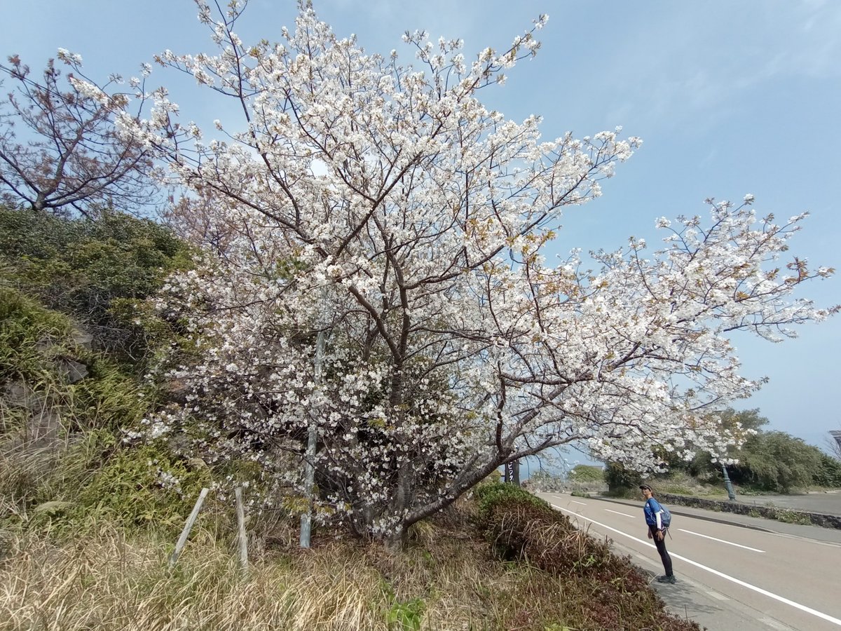 29 March 2026 - 10:25, Giappone