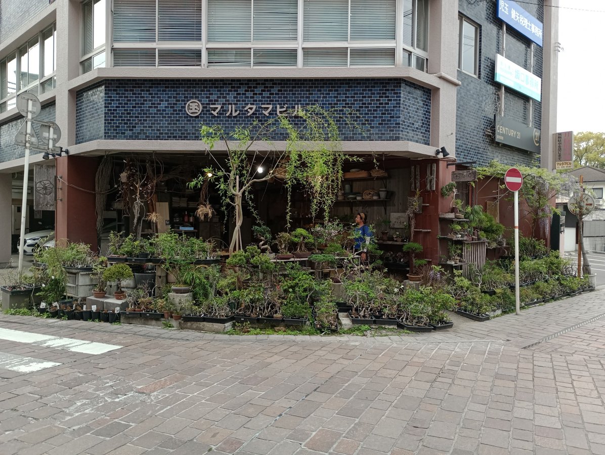 Pottery & plants!, Giappone