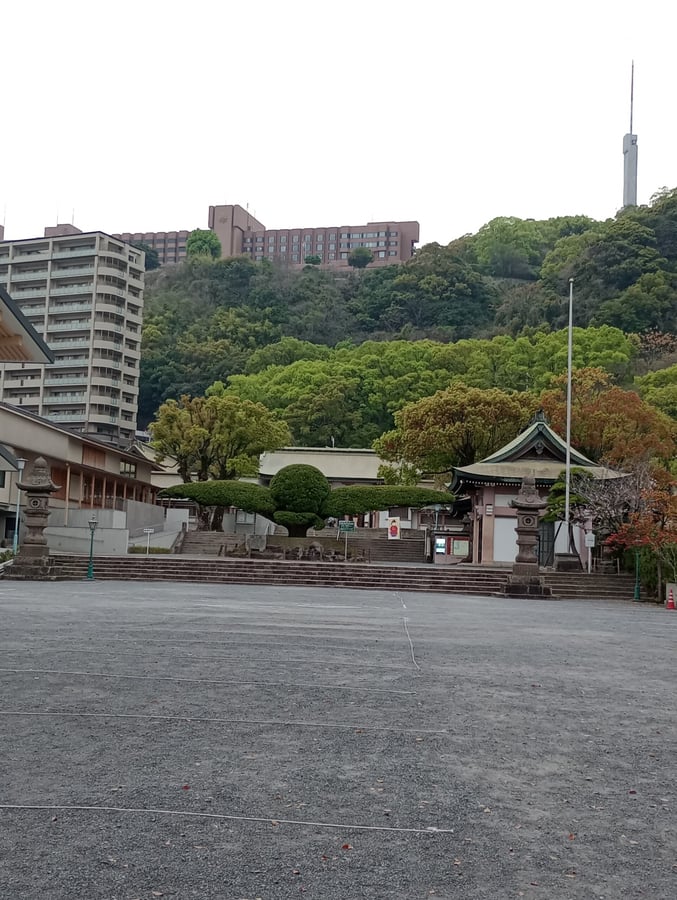 Shimadzu Tadayoshi, Giappone
