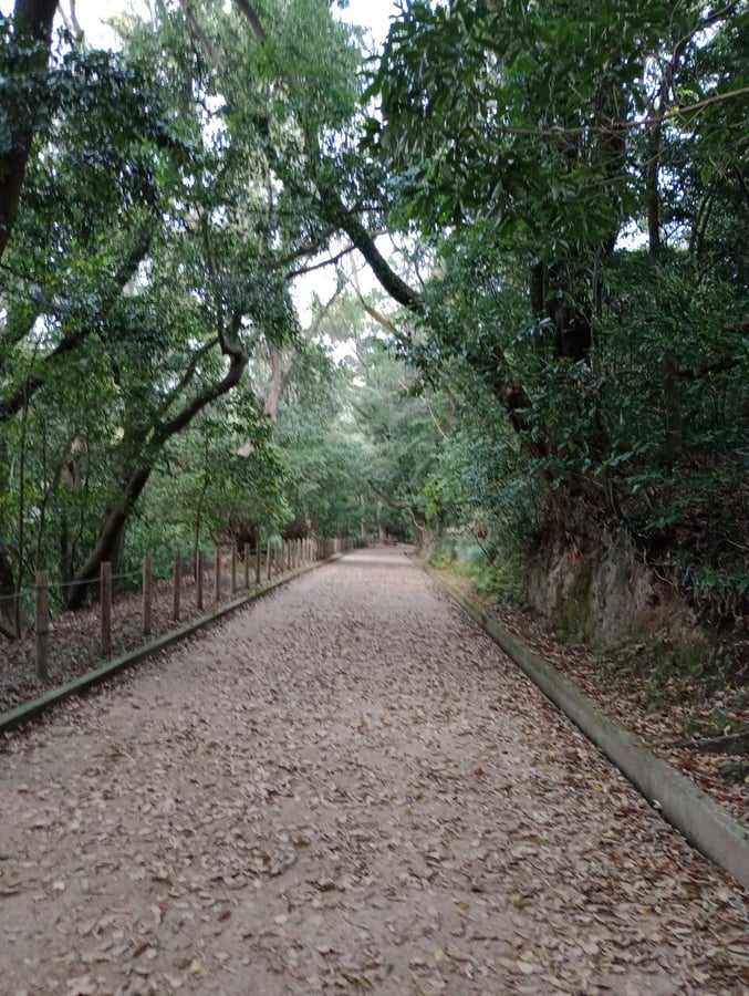 Promenade, Giappone