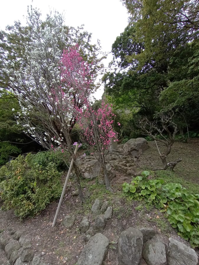 More gardens, Giappone