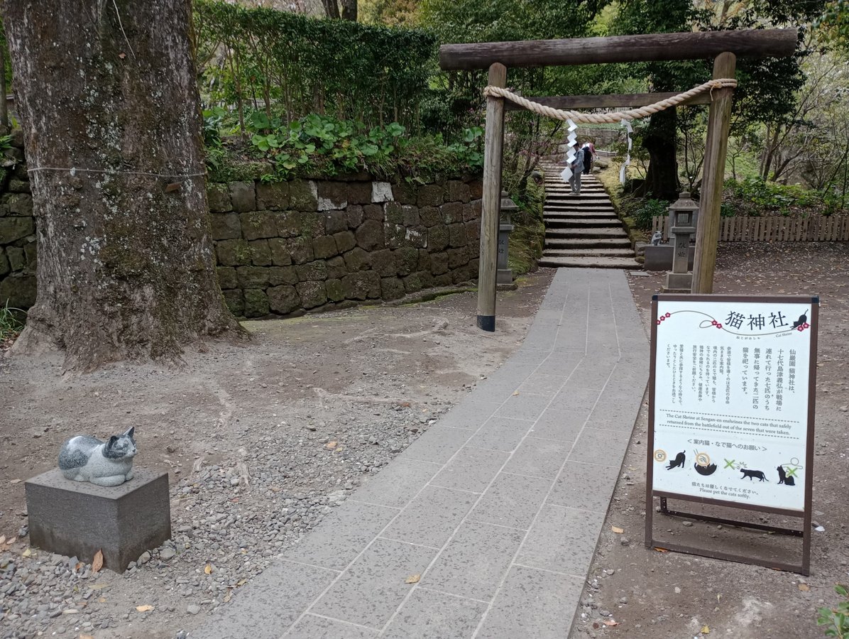 Neko Shrine, Giappone