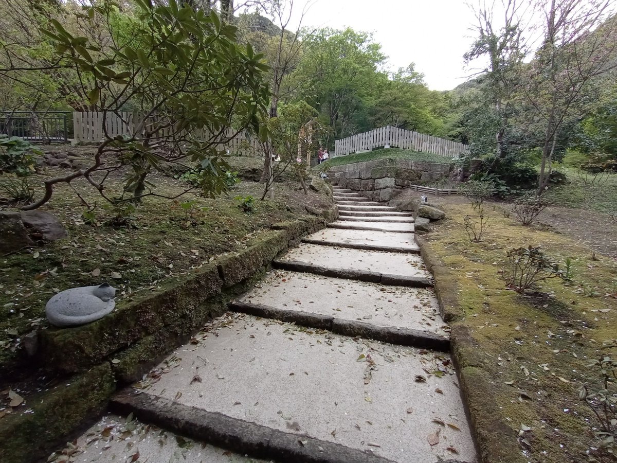 Neko Shrine, Giappone