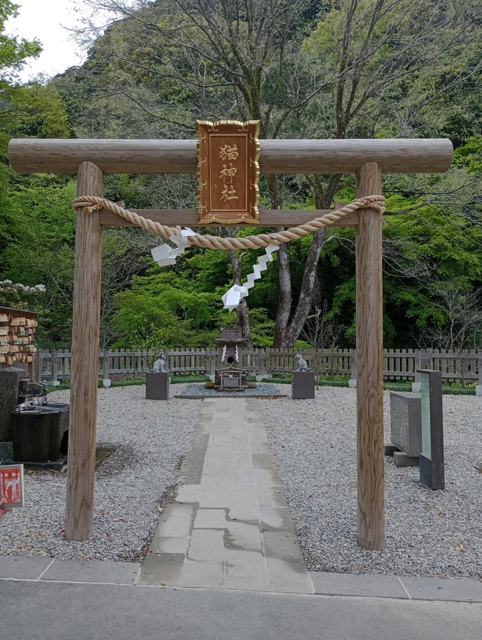 Neko Shrine, Japan