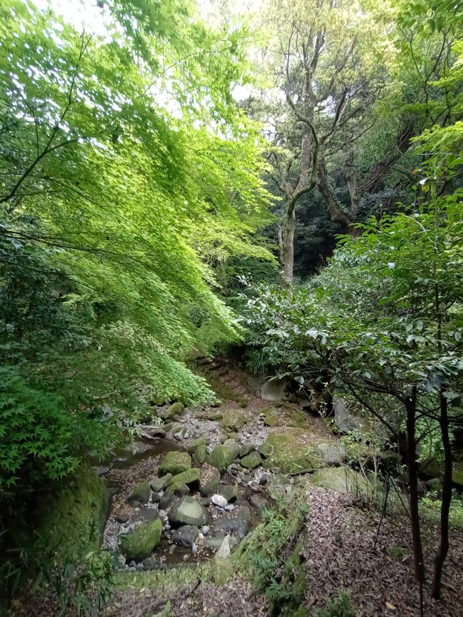 More gardens, Giappone