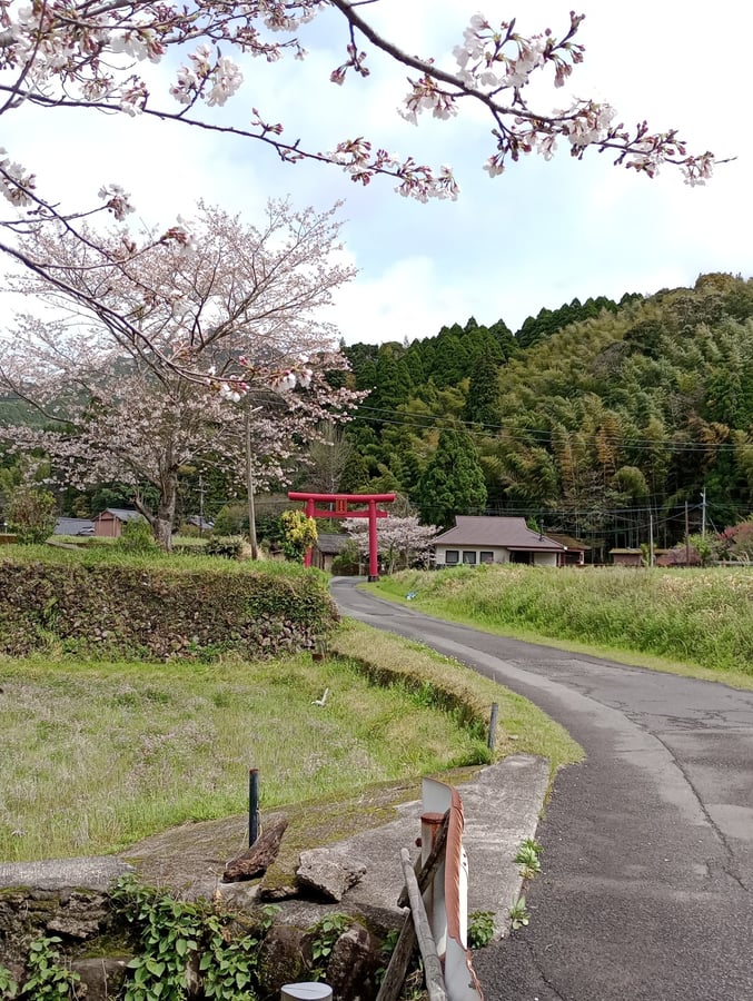 31 March 2026 - 12:04, Giappone