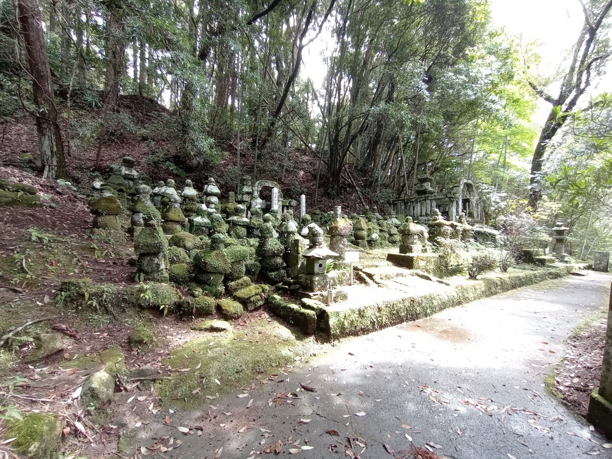 31 March 2026 - 12:04, Japan
