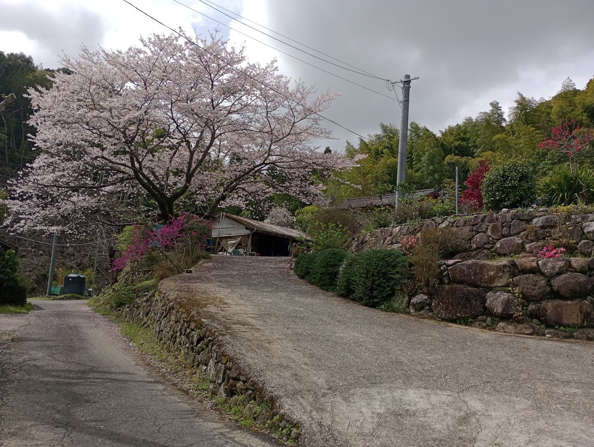 31 March 2026 - 14:29, Giappone