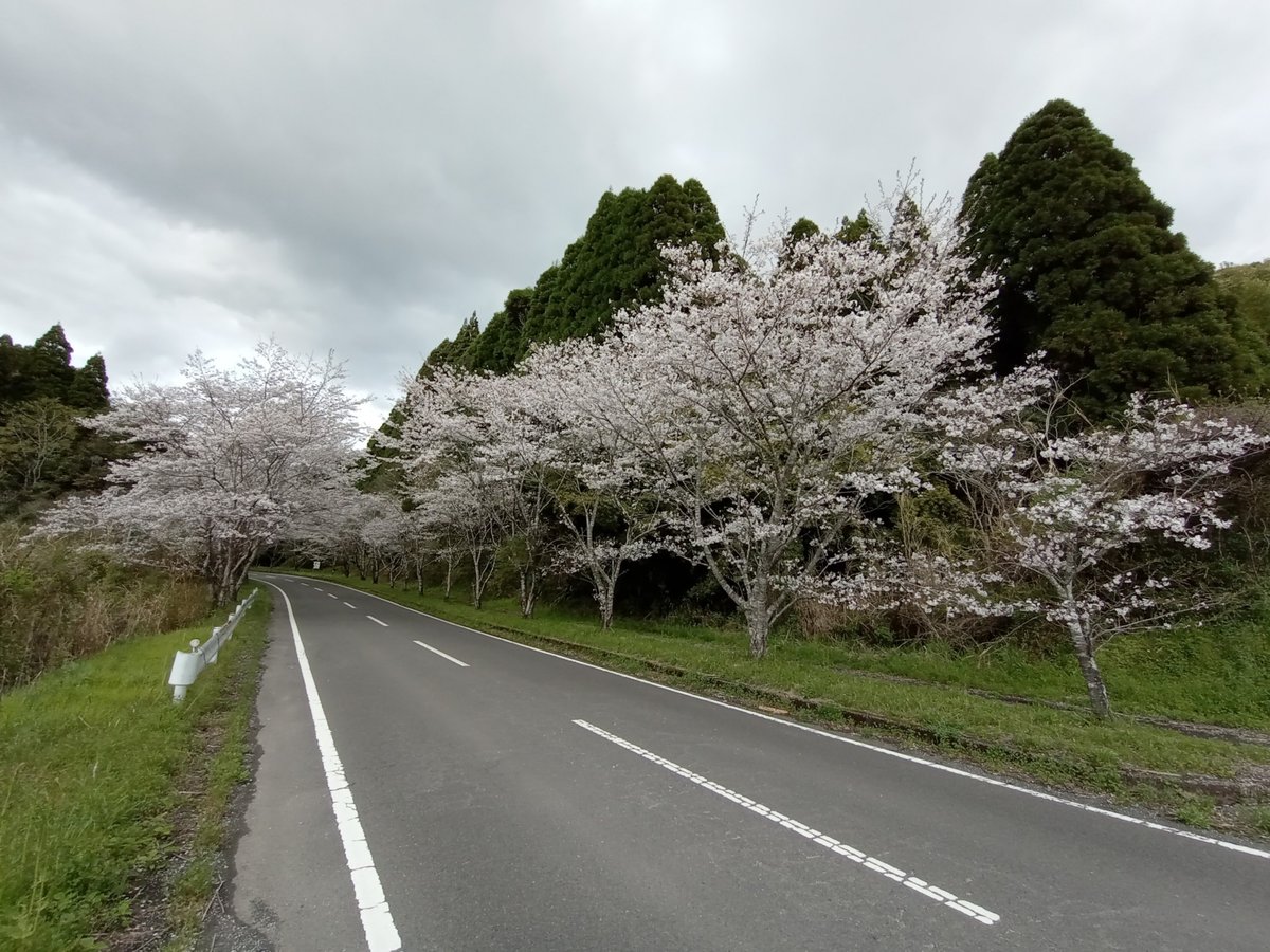 31 March 2026 - 15:52, Giappone
