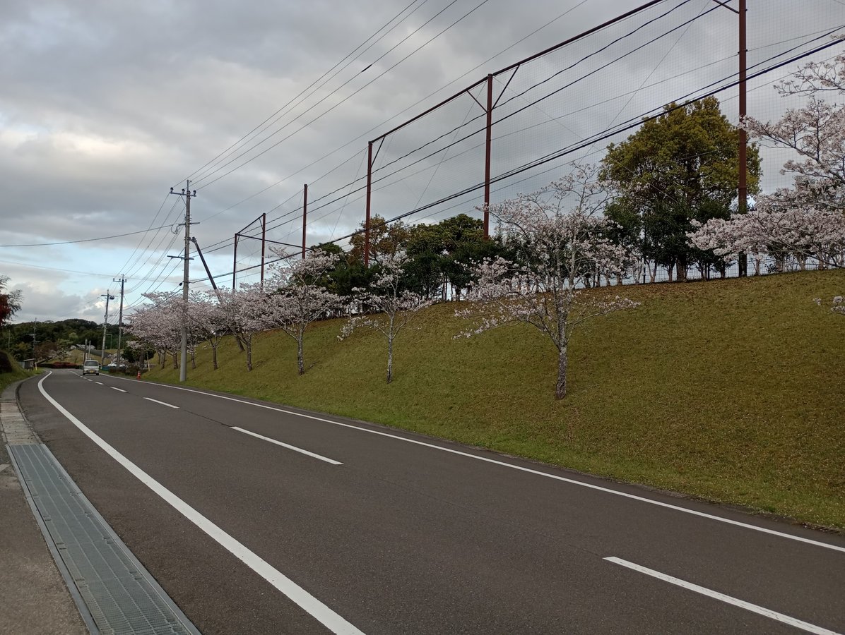 31 March 2026 - 17:45, Giappone