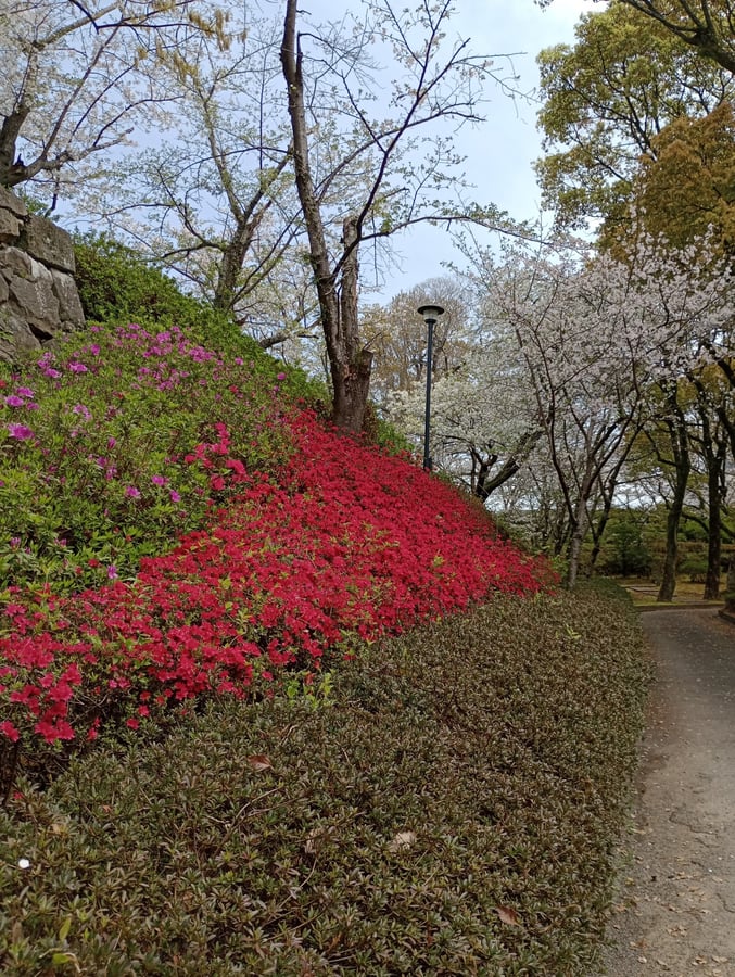 Burgruine, Japan