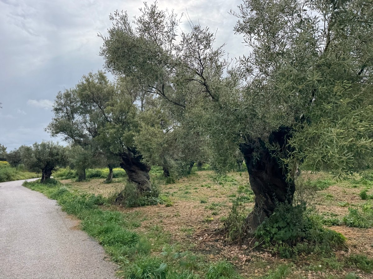 Andare in bicicletta dopo la tempesta, Grecia
