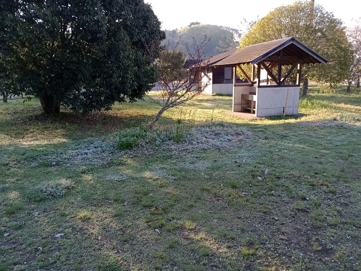 8 aprile 2026 - 10:58, Giappone