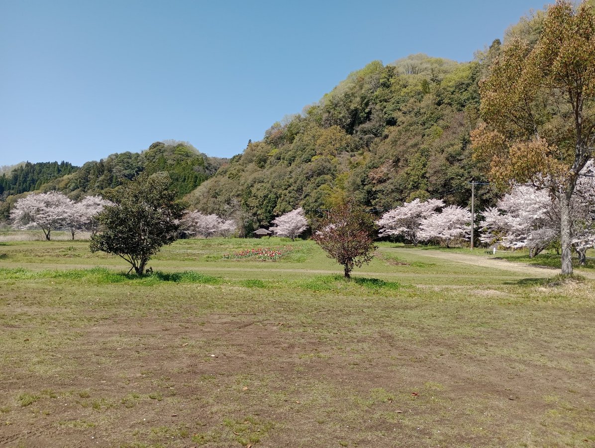8. April 2026 - 10:58 Uhr, Japan