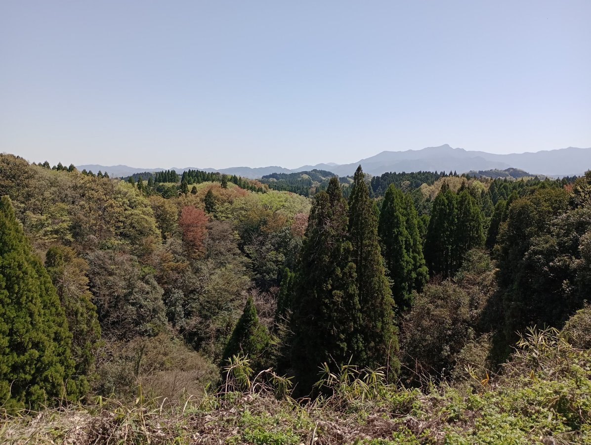8 aprile 2026 - 12:46, Giappone