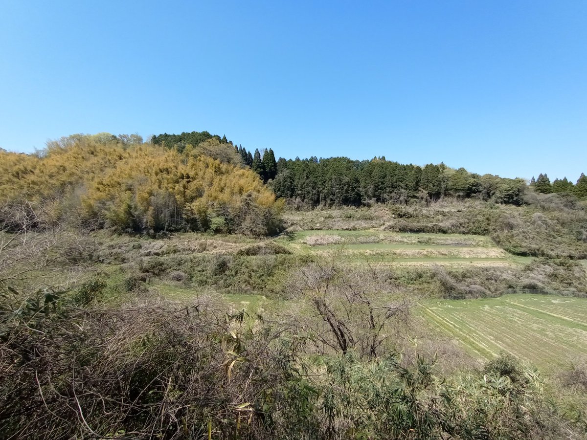 Passeggiata verso il tempio Fukoji, Giappone