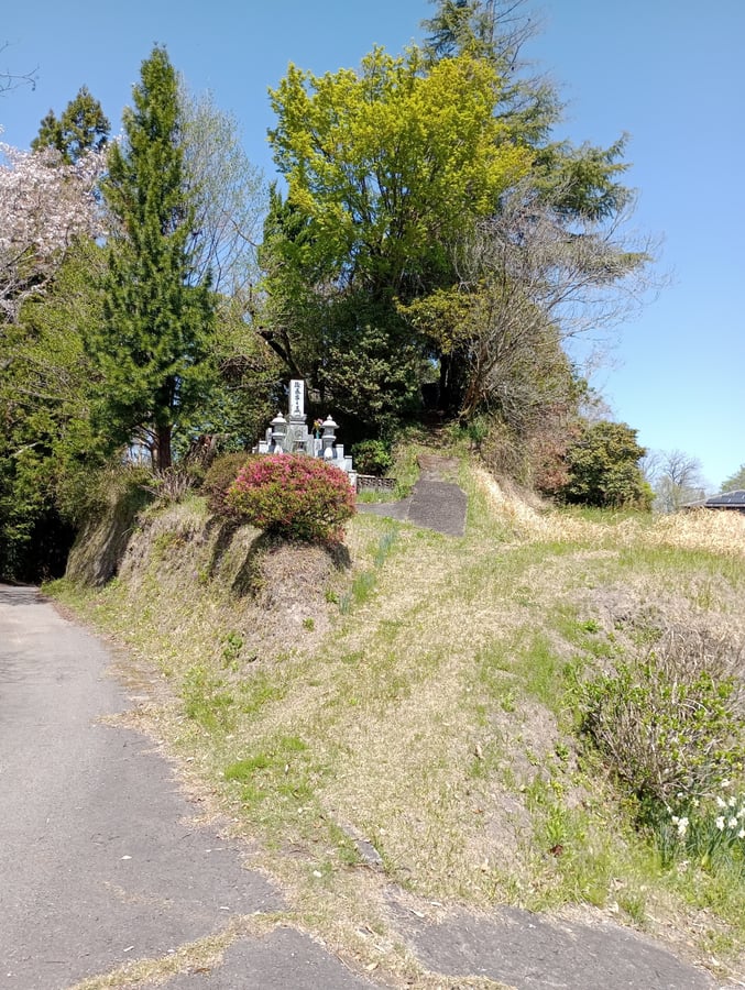 Passeggiata verso il tempio Fukoji, Giappone
