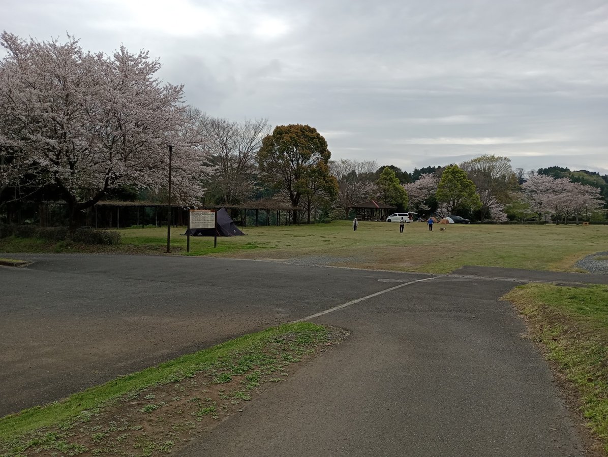 9 de abril de 2026 - 09:28, Japón