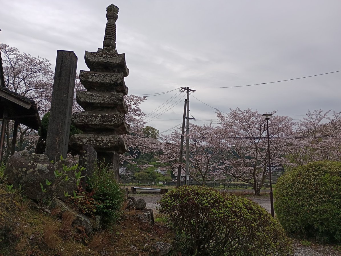 9 April 2026 - 11:46, Japan