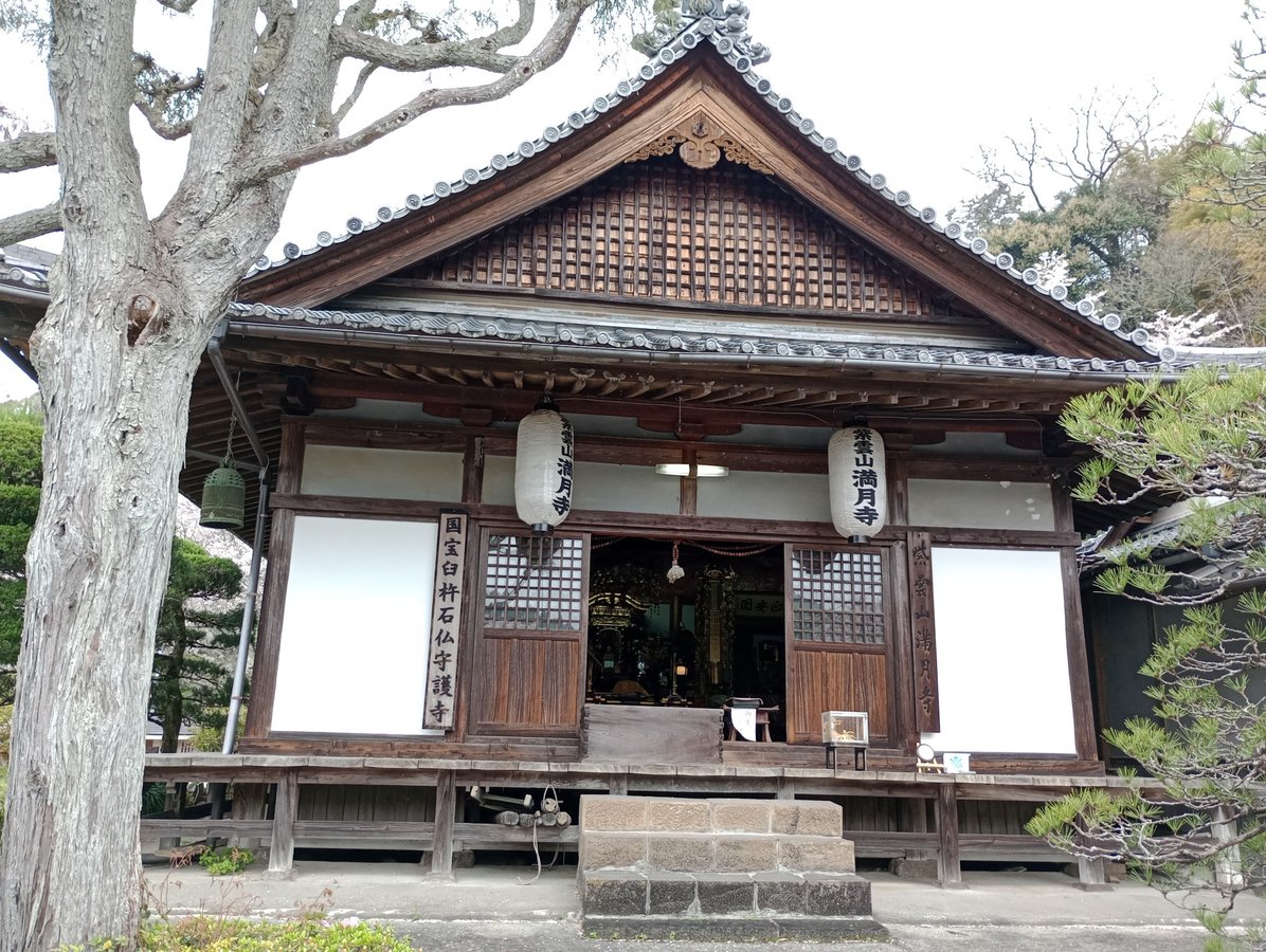 9 April 2026 - 11:46, Japan
