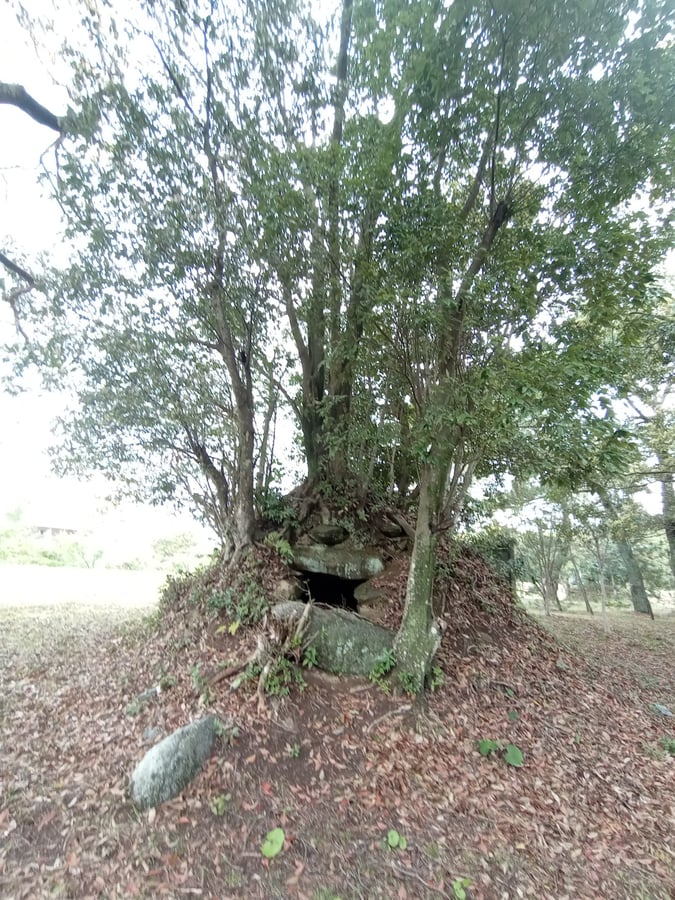 10 aprile 2026 - 15:12, Giappone