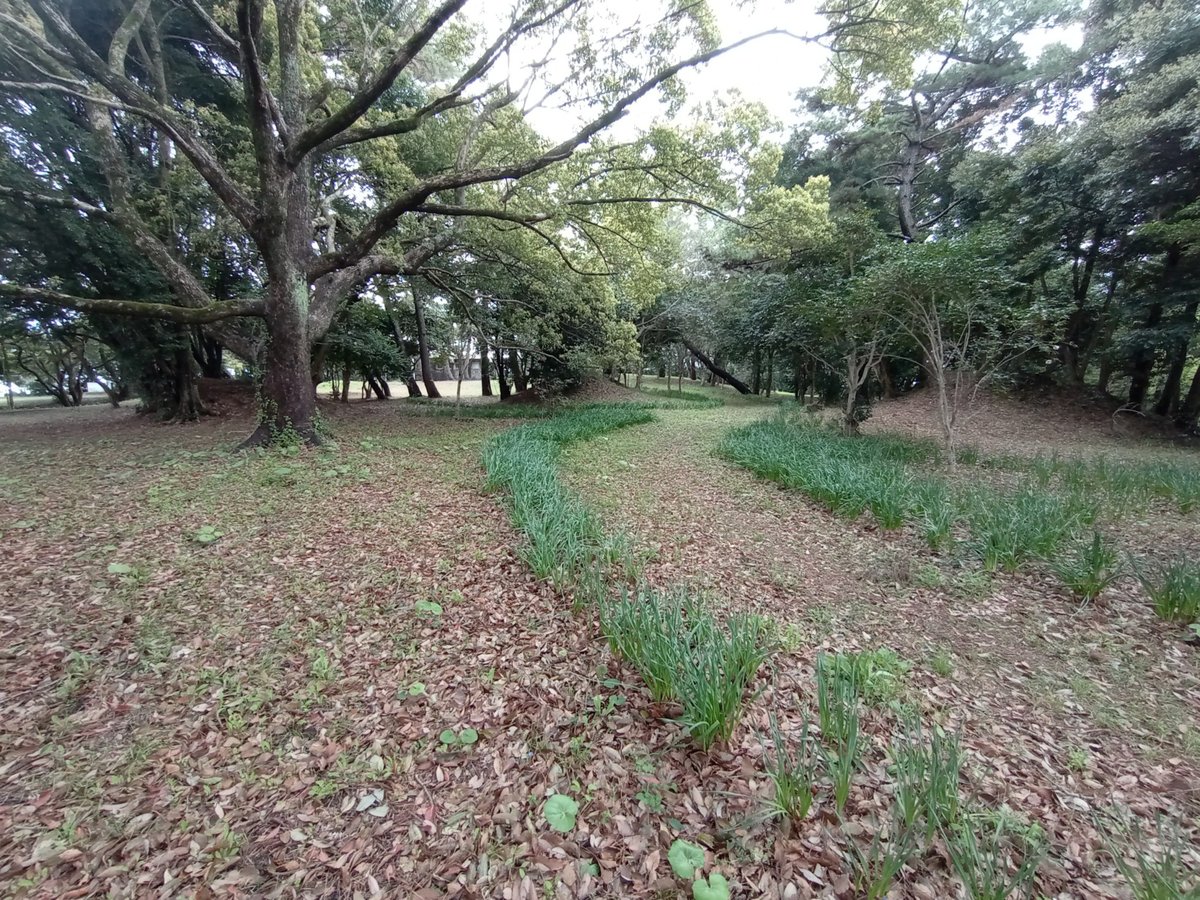 10 aprile 2026 - 15:12, Giappone