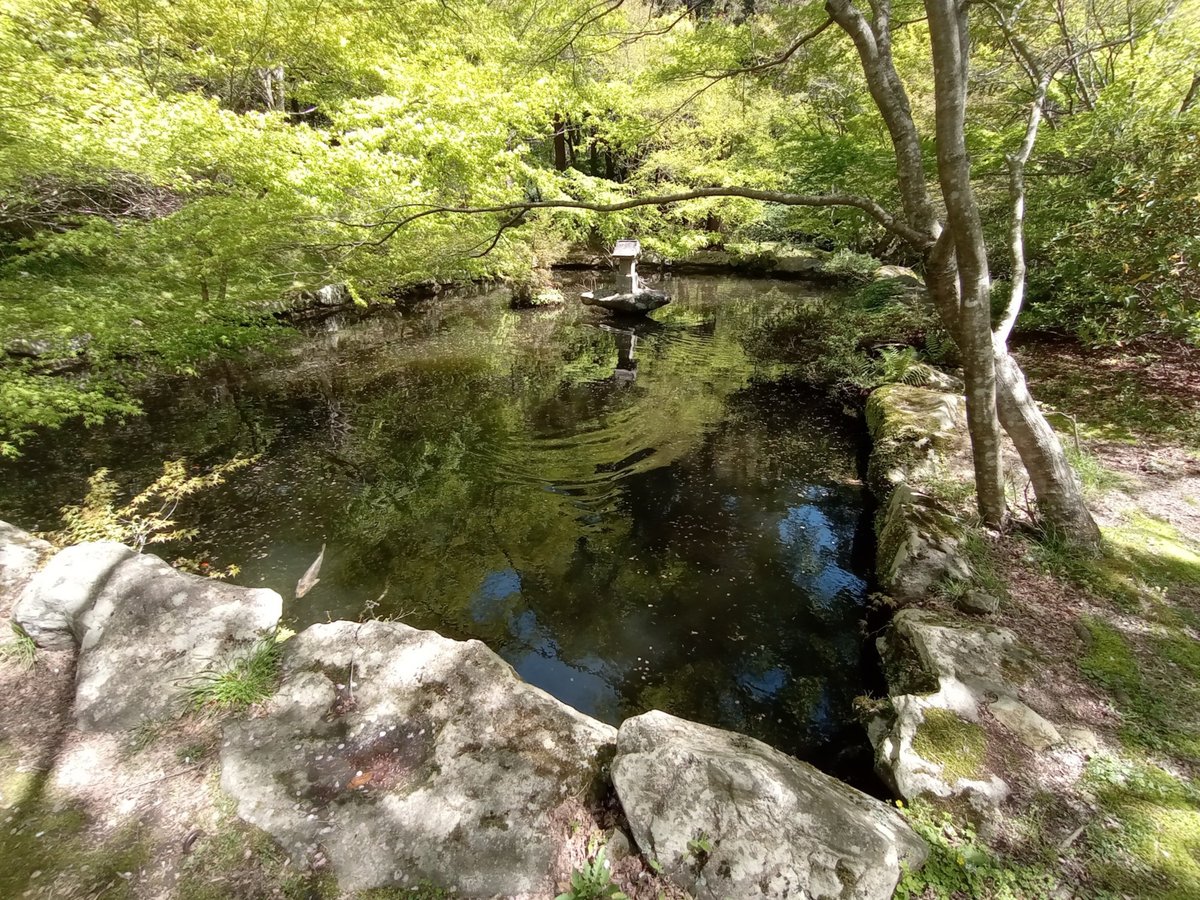 11 April 2026 - 11:18, Japan