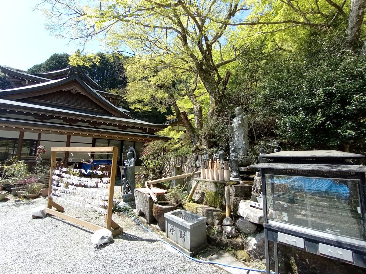 11 April 2026 - 11:24, Japan