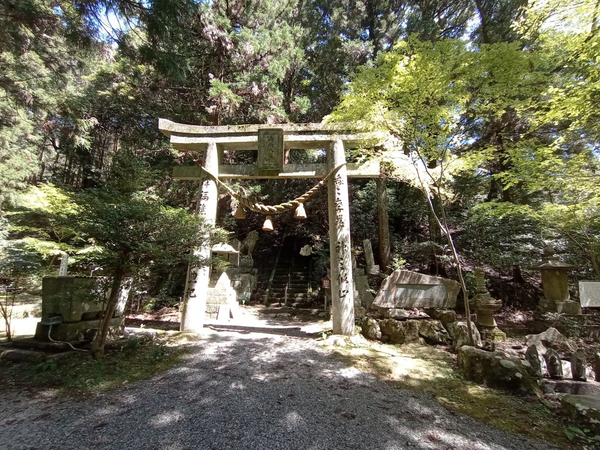 11. April 2026 - 11:34 Uhr, Japan
