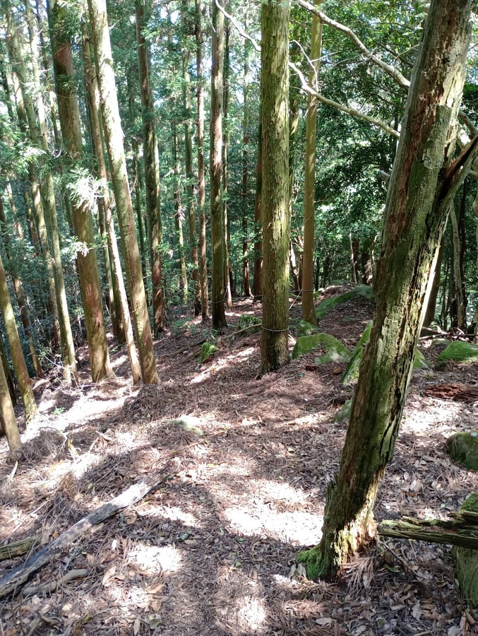 Vorsicht!, Japan