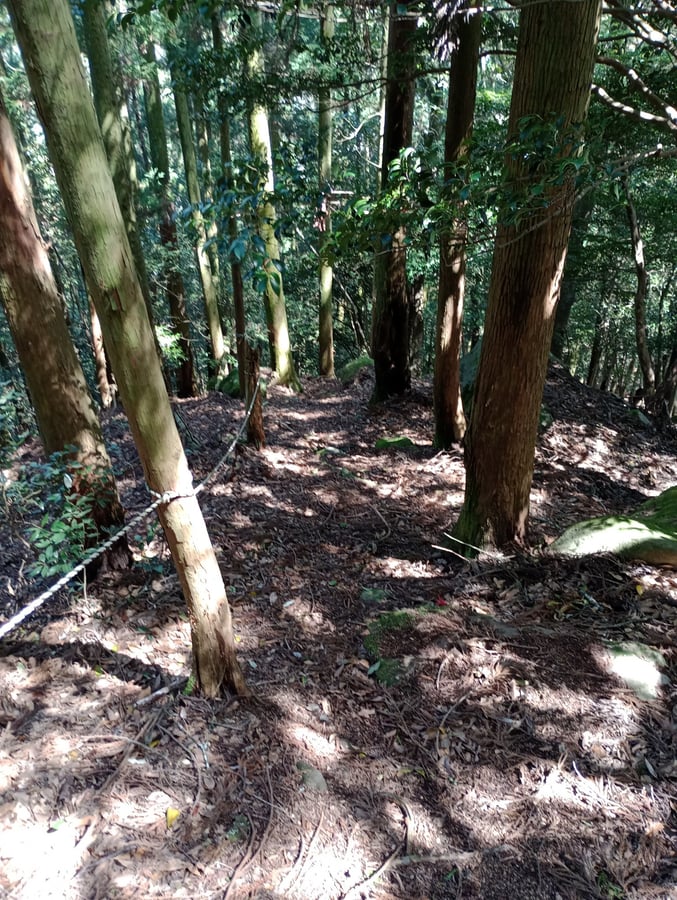 Vorsicht!, Japan