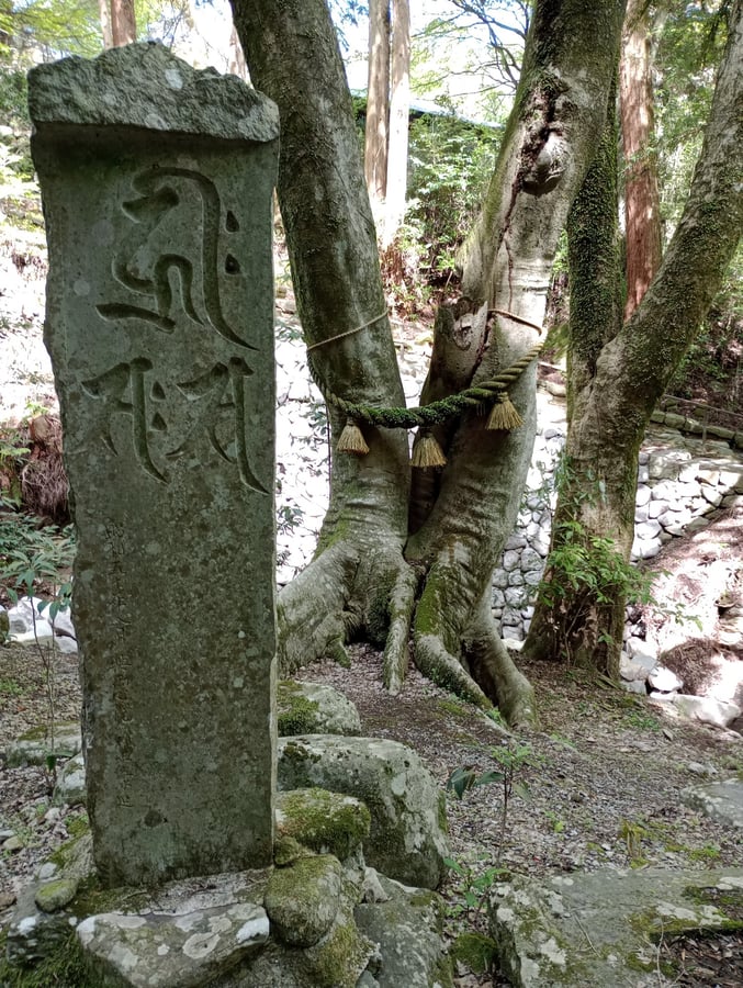 11. April 2026 - 14:20 Uhr, Japan