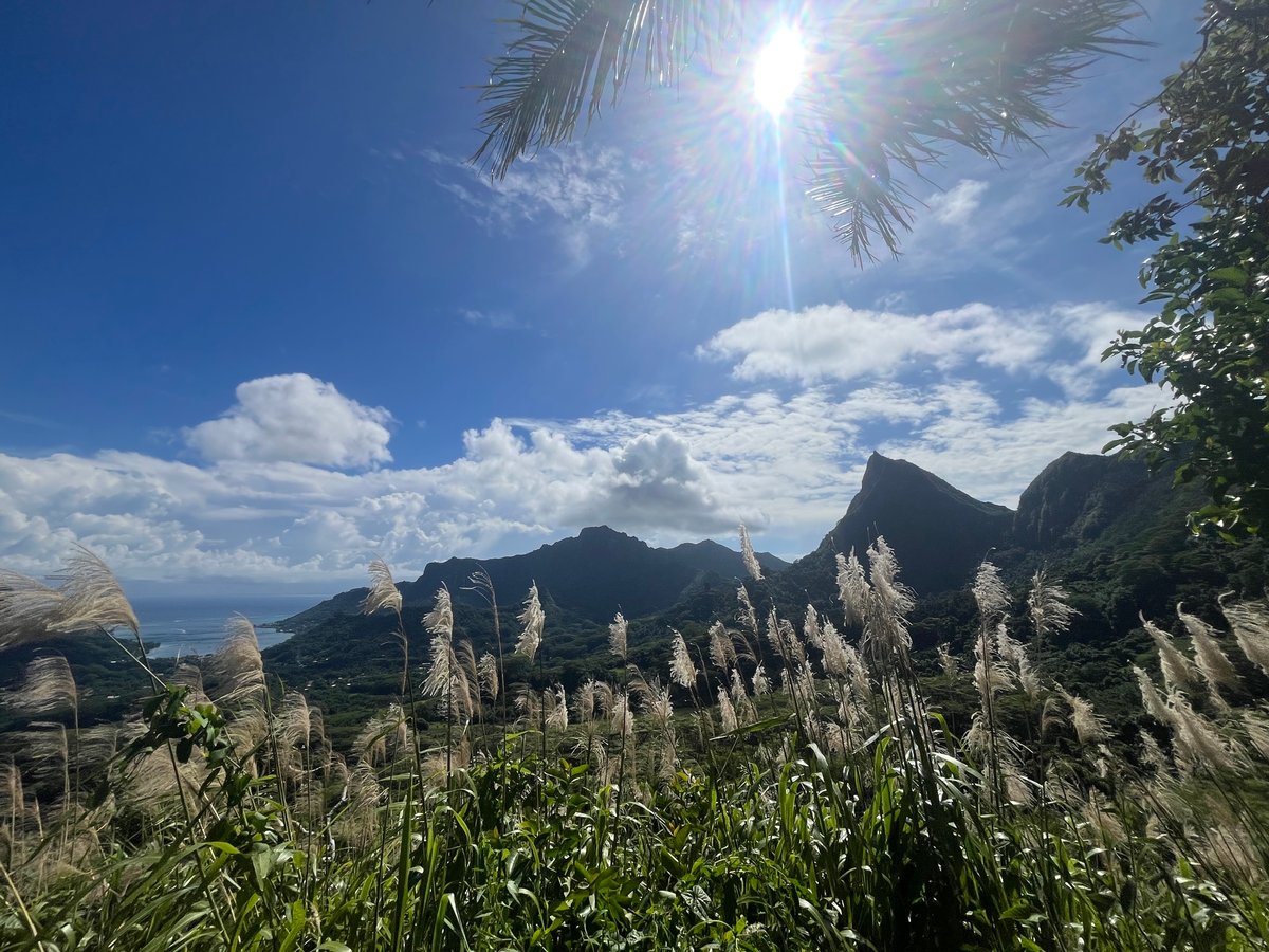 Navegando por Moorea | ¡Senderismo, surf y delicias!, Polinesia Francesa