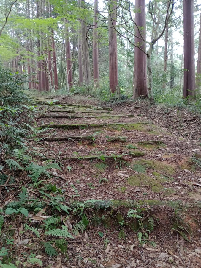 Nyoho-Tempel, Japan