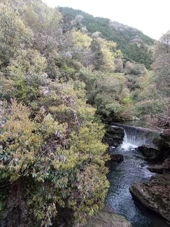 15. April 2026 - 11:40 Uhr, Japan