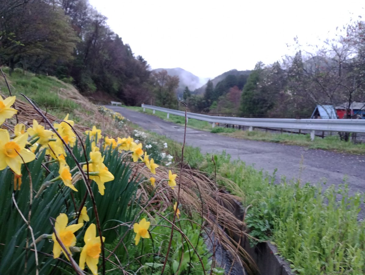 15. April 2026 - 18:38 Uhr, Japan