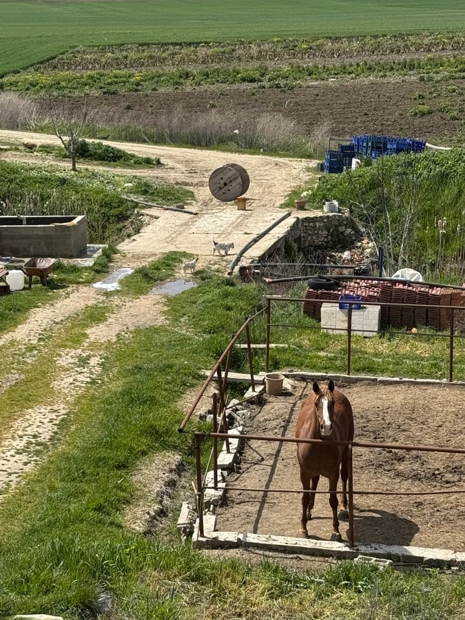 A Turkish farmstead near Pinarihsar, Türkiye