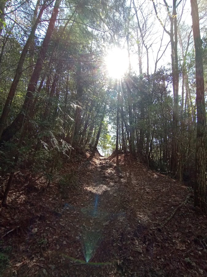Tempo splendido e un bel sentiero per passeggiate., Giappone