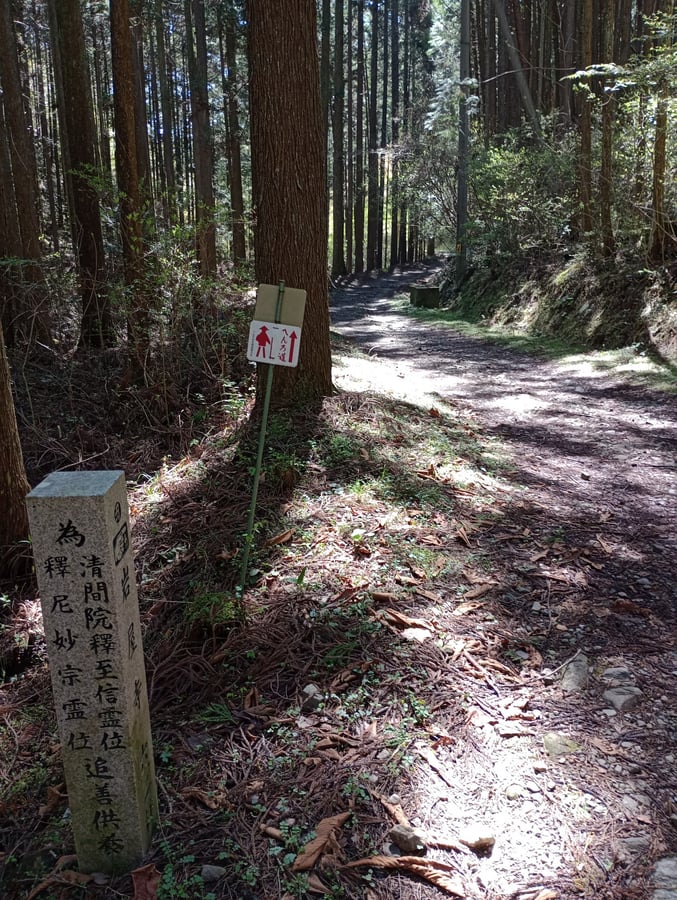16. April 2026 - 09:58 Uhr, Japan
